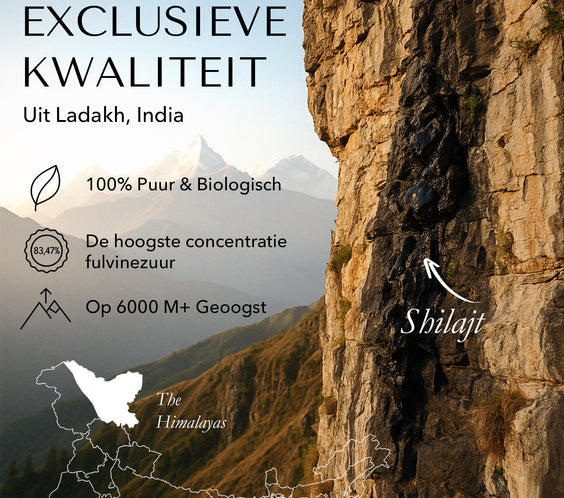 BLCKMNTN® Authentic Shilajit