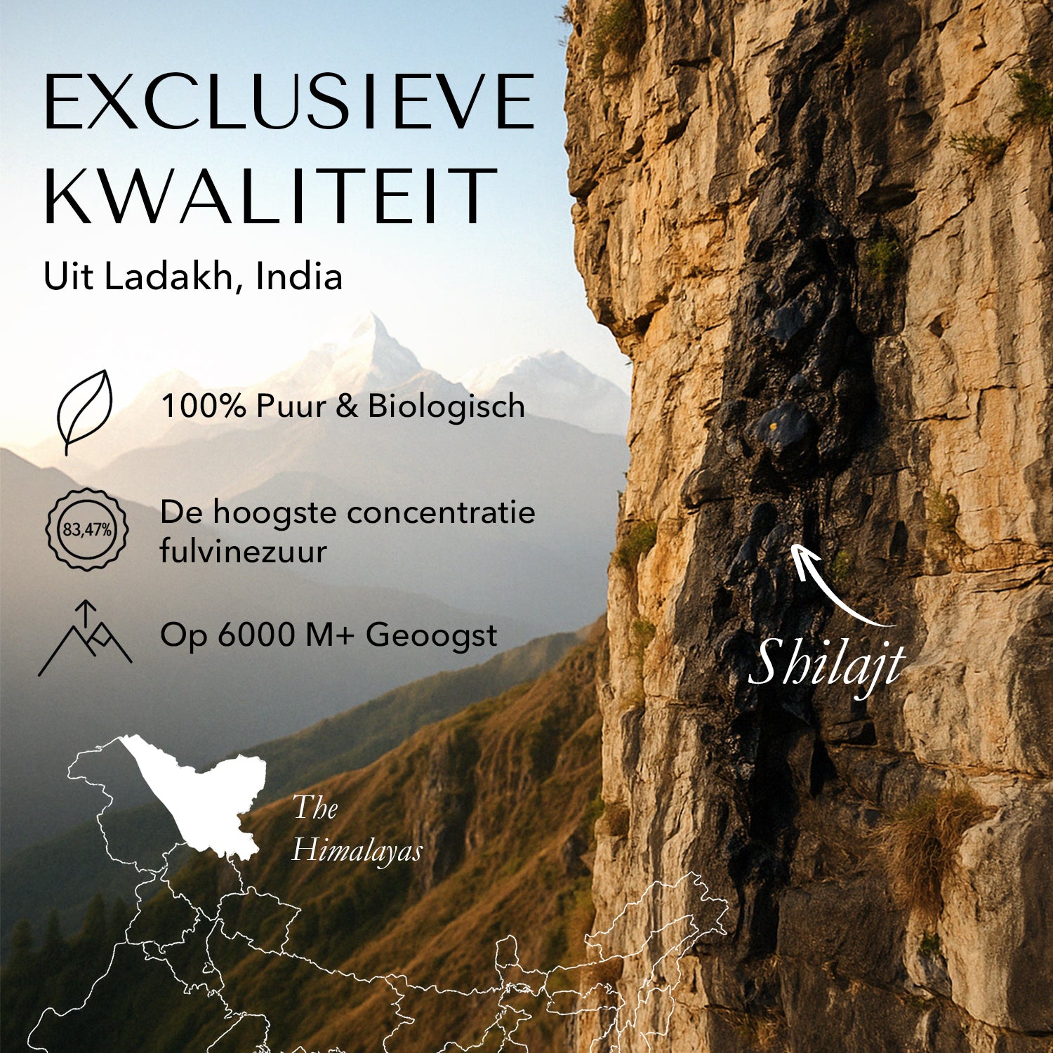 BLCKMNTN® Authentic Shilajit