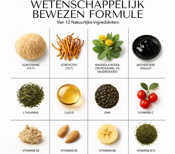 BLCKMNTN® Unlimited+