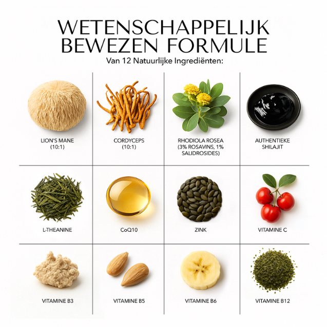 BLCKMNTN® Unlimited+