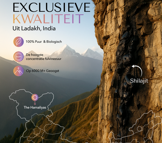 BLCKMNTN® Authentic Shilajit Hars + Caps Bundel