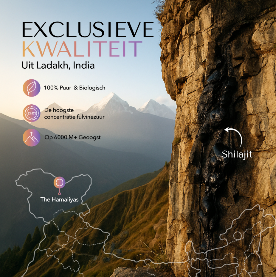 BLCKMNTN® Authentic Shilajit Hars + Caps Bundel