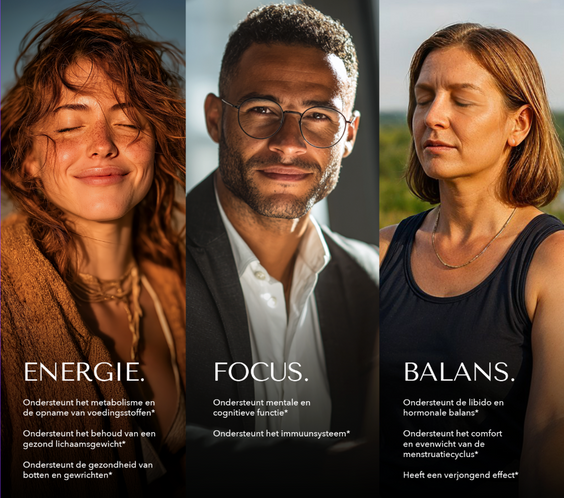 BLCKMNTN® Authentic Shilajit Hars + Caps Bundel