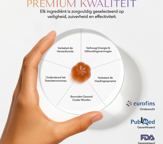 NIEUW | Authentic Shilajit Gummies Gold | 60 PCS