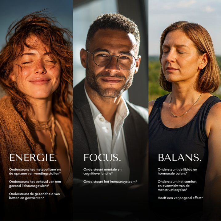 NIEUW | Authentic Shilajit Gummies Gold | 60 PCS